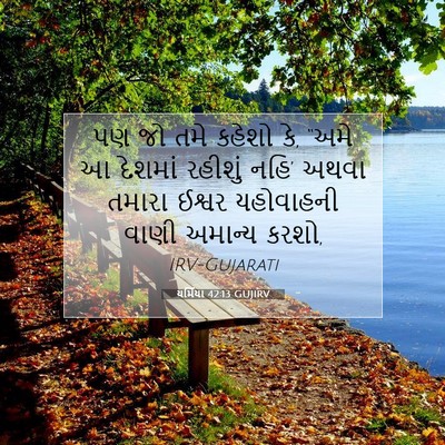 Picture 07 - યર્મિયા 42:13 GUJIRV - પણ જો તમે કહેશો કે, - Bible Verse Picture