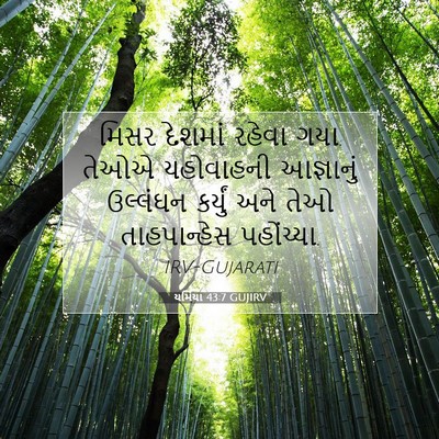 Picture 07 - યર્મિયા 43:7 GUJIRV - મિસર દેશમાં રહેવા - Bible Verse Picture