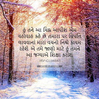 Picture 07 - યર્મિયા 44:29 GUJIRV - હું તને આ ચિહ્ન - Bible Verse Picture