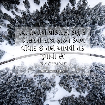 Picture 07 - યર્મિયા 46:17 GUJIRV - ત્યાં તેઓએ - Bible Verse Picture