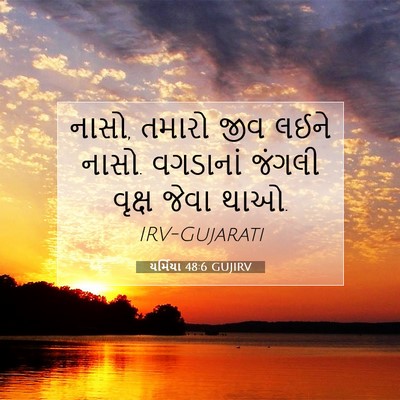 Picture 07 - યર્મિયા 48:6 GUJIRV - નાસો, તમારો જીવ - Bible Verse Picture