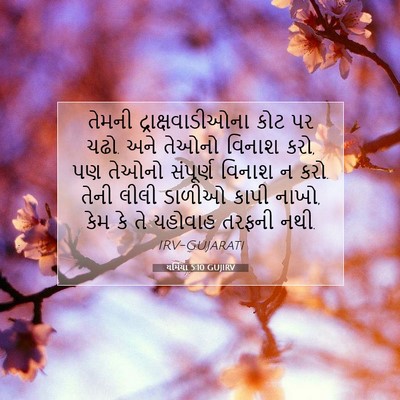 Picture 07 - યર્મિયા 5:10 GUJIRV - તેમની - Bible Verse Picture