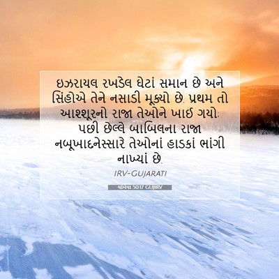 Picture 07 - યર્મિયા 50:17 GUJIRV - ઇઝરાયલ રખડેલ - Bible Verse Picture