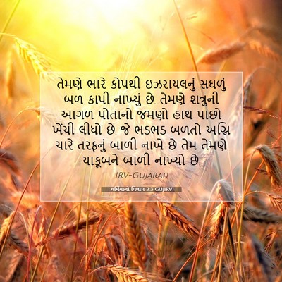 Picture 07 - યર્મિયાનો વિલાપ 2:3 GUJIRV - તેમણે ભારે કોપથી - Bible Verse Picture