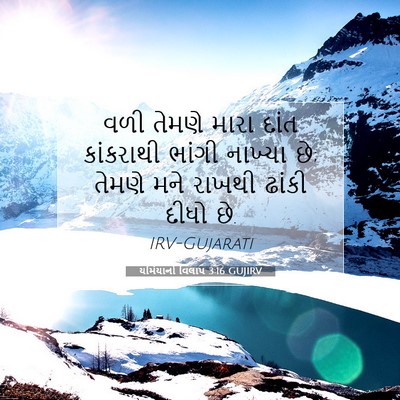 Picture 07 - યર્મિયાનો વિલાપ 3:16 GUJIRV - વળી તેમણે મારા - Bible Verse Picture