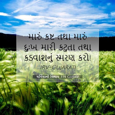 Picture 07 - યર્મિયાનો વિલાપ 3:19 GUJIRV - મારું કષ્ટ તથા - Bible Verse Picture
