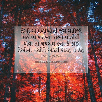 Picture 07 - યર્મિયાનો વિલાપ 4:14 GUJIRV - તેઓ આંધળાઓની જેમ - Bible Verse Picture