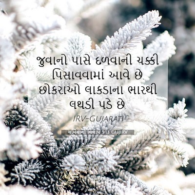Picture 07 - યર્મિયાનો વિલાપ 5:13 GUJIRV - જુવાનો પાસે - Bible Verse Picture