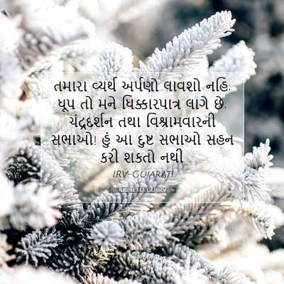 Picture 07 - યશાયા 1:13 GUJIRV - તમારા વ્યર્થ - Bible Verse Picture