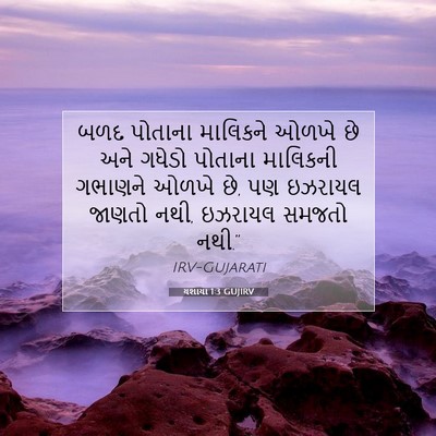 Picture 07 - યશાયા 1:3 GUJIRV - બળદ પોતાના - Bible Verse Picture