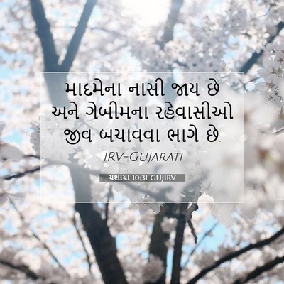 Picture 07 - યશાયા 10:31 GUJIRV - માદમેના નાસી જાય - Bible Verse Picture