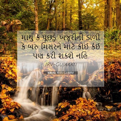 Picture 07 - યશાયા 19:15 GUJIRV - માથું કે પૂછડું, - Bible Verse Picture