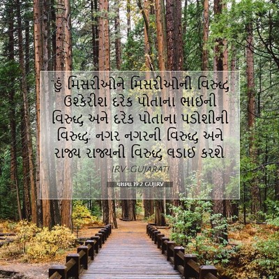Picture 07 - યશાયા 19:2 GUJIRV - “હું મિસરીઓને - Bible Verse Picture