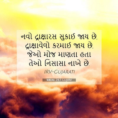 Picture 07 - યશાયા 24:7 GUJIRV - નવો દ્રાક્ષારસ - Bible Verse Picture