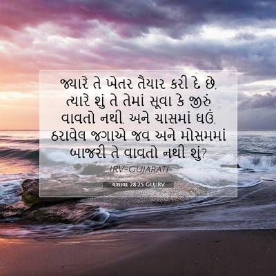 Picture 07 - યશાયા 28:25 GUJIRV - જ્યારે તે ખેતર - Bible Verse Picture