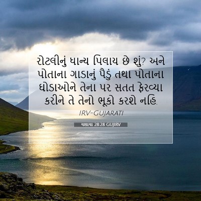 Picture 07 - યશાયા 28:28 GUJIRV - રોટલીનું ધાન્ય - Bible Verse Picture