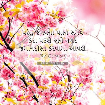 Picture 07 - યશાયા 32:19 GUJIRV - પરંતુ જંગલના પતન - Bible Verse Picture