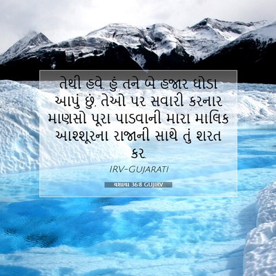 Picture 07 - યશાયા 36:8 GUJIRV - તેથી હવે, હું તને - Bible Verse Picture