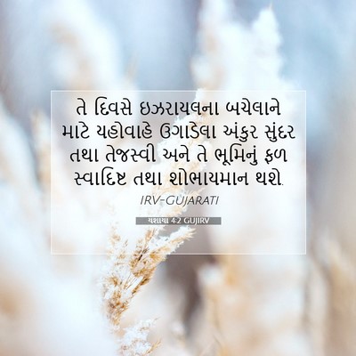 Picture 07 - યશાયા 4:2 GUJIRV - તે દિવસે ઇઝરાયલના - Bible Verse Picture