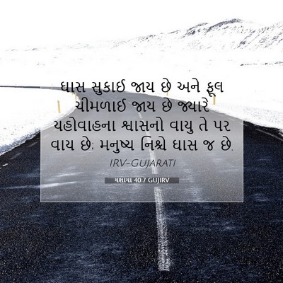 Picture 07 - યશાયા 40:7 GUJIRV - ઘાસ સુકાઈ જાય છે - Bible Verse Picture