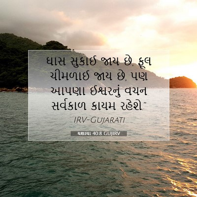 Picture 07 - યશાયા 40:8 GUJIRV - ઘાસ સુકાઈ જાય છે, - Bible Verse Picture