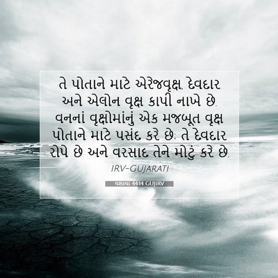 Picture 07 - યશાયા 44:14 GUJIRV - તે પોતાને માટે - Bible Verse Picture
