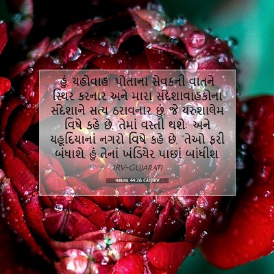Picture 07 - યશાયા 44:26 GUJIRV - હું, યહોવાહ! પોતાના - Bible Verse Picture