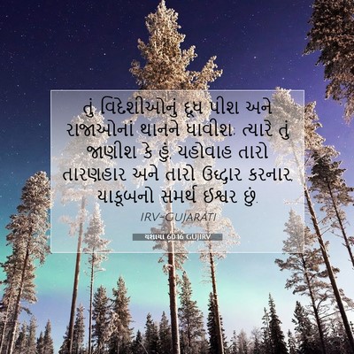 Picture 07 - યશાયા 60:16 GUJIRV - તું વિદેશીઓનું - Bible Verse Picture