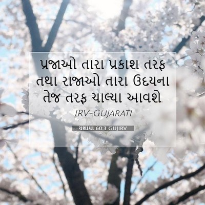 Picture 07 - યશાયા 60:3 GUJIRV - પ્રજાઓ તારા - Bible Verse Picture