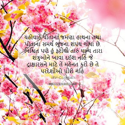 Picture 07 - યશાયા 62:8 GUJIRV - યહોવાહે પોતાના - Bible Verse Picture