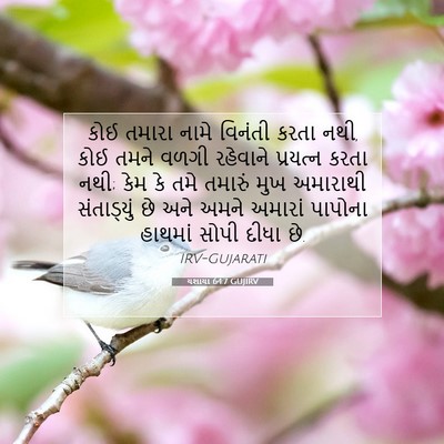 Picture 07 - યશાયા 64:7 GUJIRV - કોઈ તમારા નામે - Bible Verse Picture