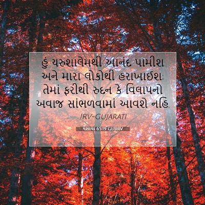 Picture 07 - યશાયા 65:19 GUJIRV - હું યરુશાલેમથી - Bible Verse Picture