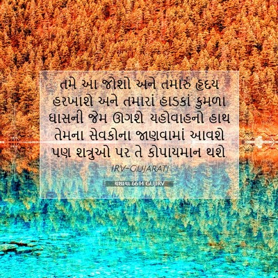 Picture 07 - યશાયા 66:14 GUJIRV - તમે આ જોશો અને - Bible Verse Picture