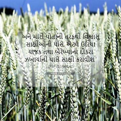 Picture 07 - યશાયા 8:2 GUJIRV - અને મારી પોતાની - Bible Verse Picture