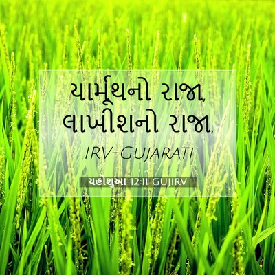 Picture 07 - યહોશુઆ 12:11 GUJIRV - યાર્મૂથનો રાજા, - Bible Verse Picture