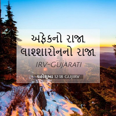 Picture 07 - યહોશુઆ 12:18 GUJIRV - અફેકનો રાજા, - Bible Verse Picture