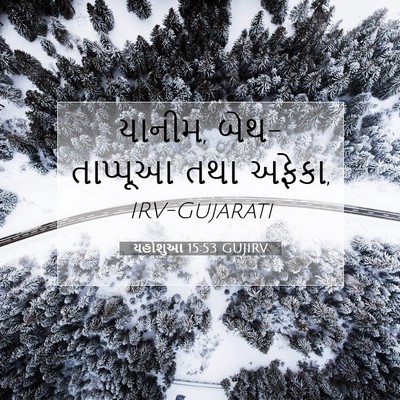 Picture 07 - યહોશુઆ 15:53 GUJIRV - યાનીમ, બેથ-તાપ્પૂઆ - Bible Verse Picture