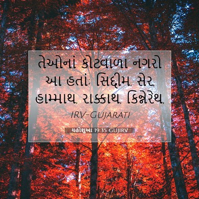 Picture 07 - યહોશુઆ 19:35 GUJIRV - તેઓનાં કોટવાળા - Bible Verse Picture