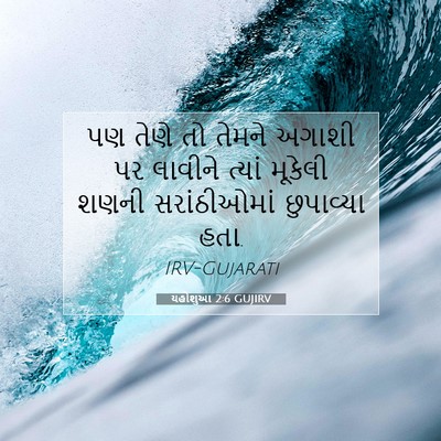 Picture 07 - યહોશુઆ 2:6 GUJIRV - પણ તેણે તો તેમને - Bible Verse Picture