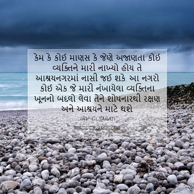 Picture 07 - યહોશુઆ 20:3 GUJIRV - કેમ કે કોઈ માણસ કે - Bible Verse Picture