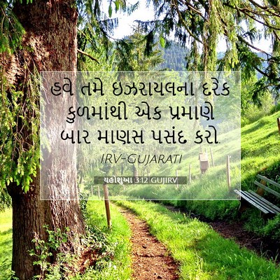 Picture 07 - યહોશુઆ 3:12 GUJIRV - હવે તમે ઇઝરાયલના - Bible Verse Picture