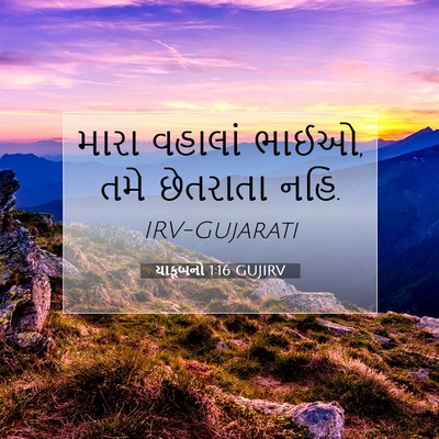 Picture 07 - યાકૂબનો 1:16 GUJIRV - મારા વહાલાં ભાઈઓ, - Bible Verse Picture