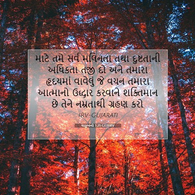 Picture 07 - યાકૂબનો 1:21 GUJIRV - માટે તમે સર્વ - Bible Verse Picture