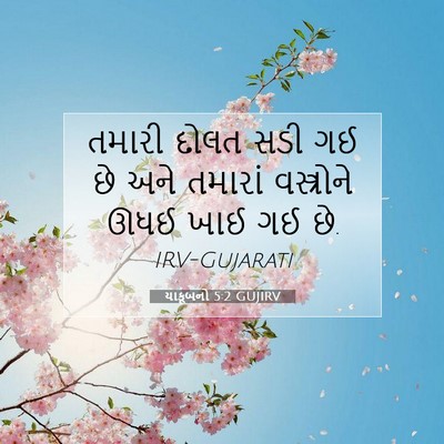 Picture 07 - યાકૂબનો 5:2 GUJIRV - તમારી દોલત સડી ગઈ - Bible Verse Picture