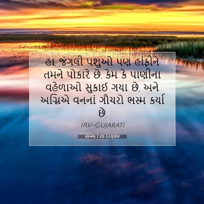 Picture 07 - યોએલ 1:20 GUJIRV - હા, જંગલી પશુઓ પણ - Bible Verse Picture