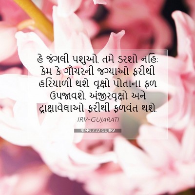 Picture 07 - યોએલ 2:22 GUJIRV - હે જંગલી પશુઓ, તમે - Bible Verse Picture