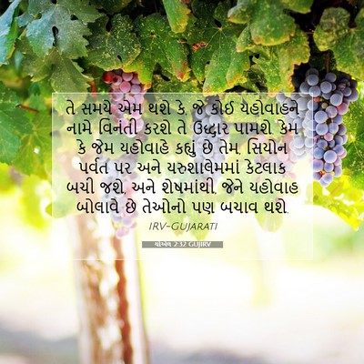 Picture 07 - યોએલ 2:32 GUJIRV - તે સમયે એમ થશે કે, - Bible Verse Picture