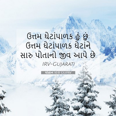 Picture 07 - યોહાન 10:11 GUJIRV - ઉત્તમ ઘેટાંપાળક - Bible Verse Picture