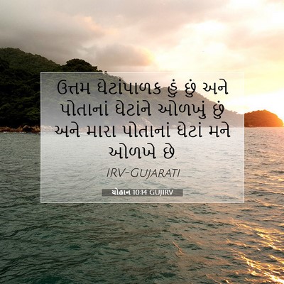 Picture 07 - યોહાન 10:14 GUJIRV - ઉત્તમ ઘેટાંપાળક - Bible Verse Picture