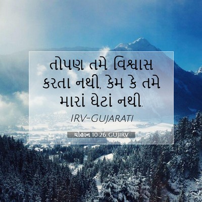 Picture 07 - યોહાન 10:26 GUJIRV - તોપણ તમે વિશ્વાસ - Bible Verse Picture